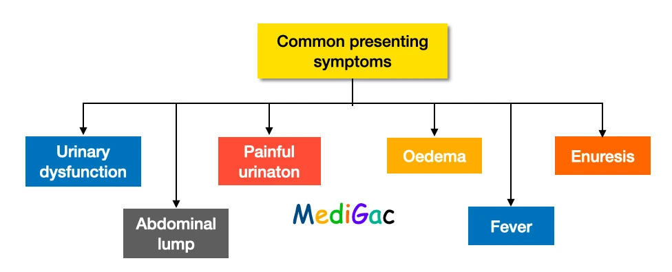 Paediatrics-genito-urinar-system-common-presenting-symptoms