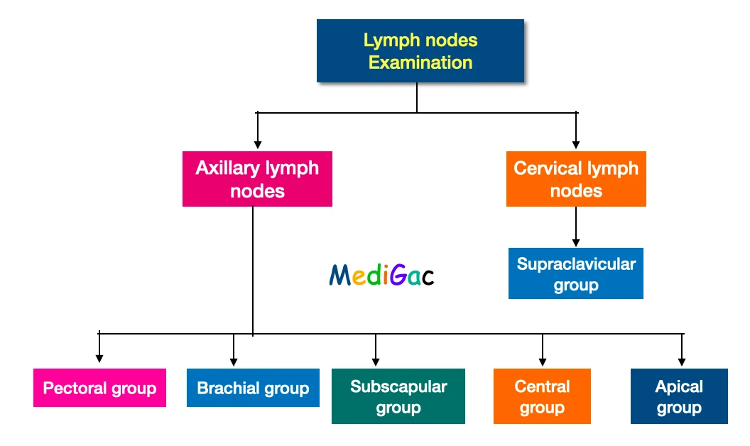 Breast examination - Lymph nodes