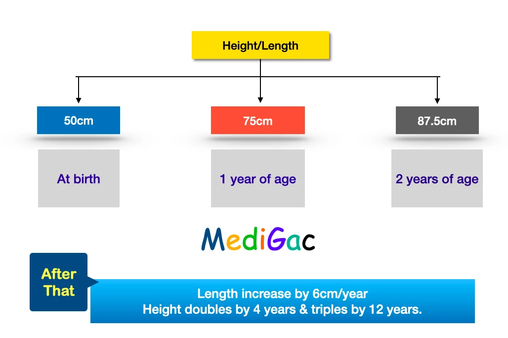 Anthropometric-height-length