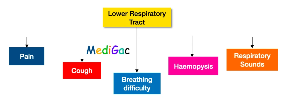 Lower respiratory tract symptoms and signs