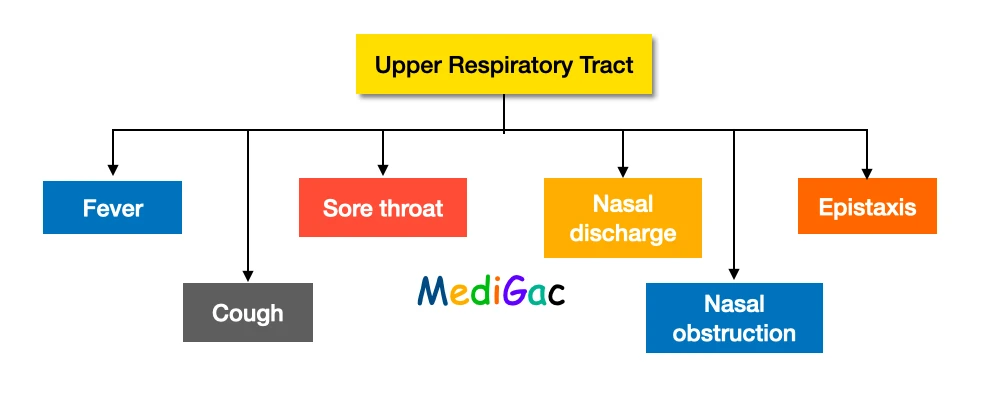 Upper Respiratory tract diseases signs and symptoms
