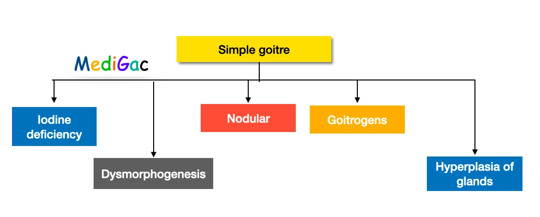 Simple goitre - classification