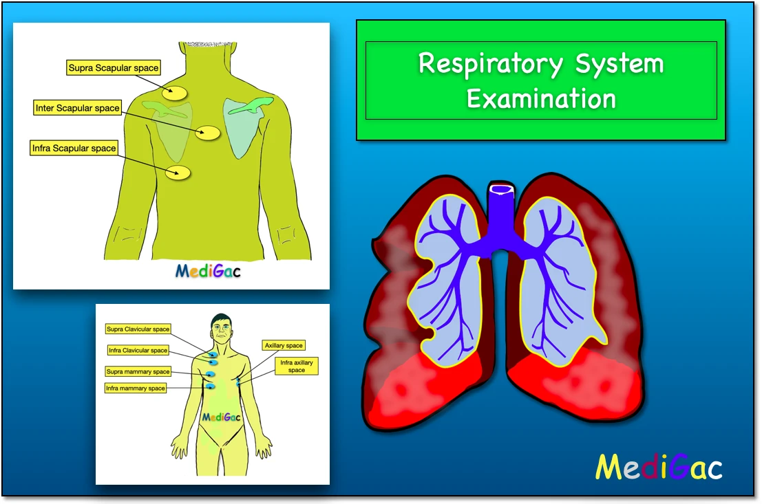 How to examine Respiratory System – MediGac