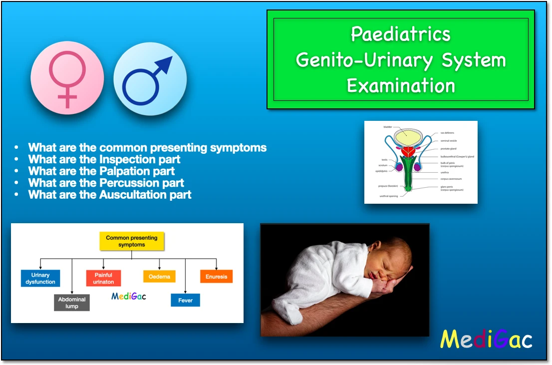 Paediatrics-genito-urinary-system-examinations